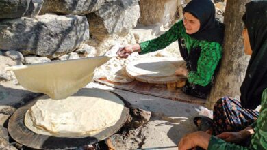 کسب مقام نخست جشنواره نان کرمان توسط «سیاه‌چادر هامون»