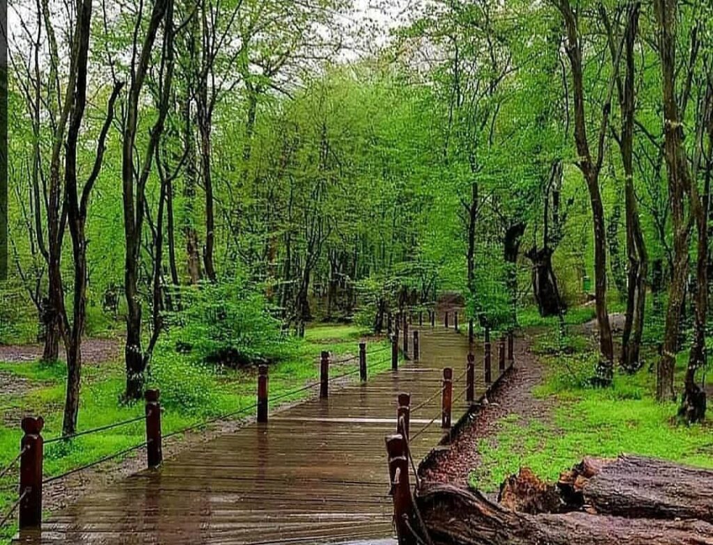 جاده سلامتی و پیاده‌راه چوبی النگدره