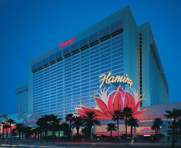 planet 7 no deposit casino bonus codes