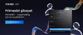 Understanding Contacts PrimeXBT How to Connect with Your Trading Platform Understanding Contacts PrimeXBT How to Connect with Your Trading Platform