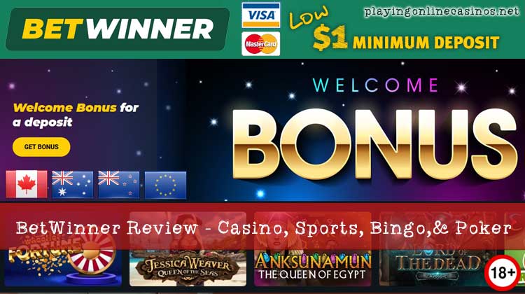 1xbet