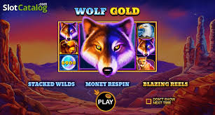 Wolf Gold 신비한 늑대의 세계로의 초대 Wolf Gold 신비한 늑대의 세계로의 초대