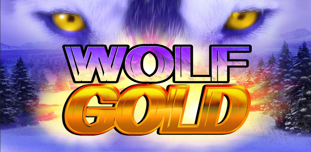 Wolf Gold 신비한 늑대의 세계로의 초대 Wolf Gold 신비한 늑대의 세계로의 초대