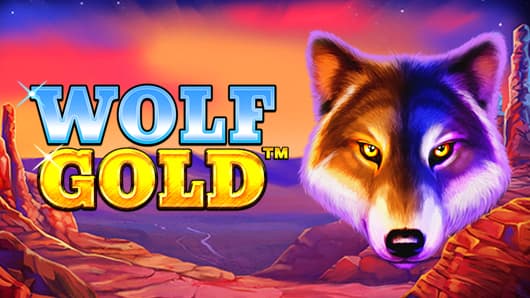 신의 세계에 빠져드는 경험 wolf gold casino 신의 세계에 빠져드는 경험 wolf gold casino