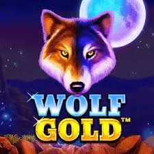 신의 세계에 빠져드는 경험 wolf gold casino 신의 세계에 빠져드는 경험 wolf gold casino